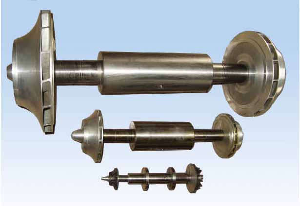 ���Y(ji��)�t����